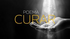 Cura do sec xix kathleen O’Meara