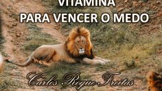 LIVRO-VITAMINA-PARA-O-MEDO.jpg