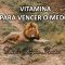 LIVRO-VITAMINA-PARA-O-MEDO.jpg